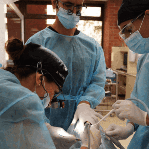 Live Soft Tissue Grafting Training